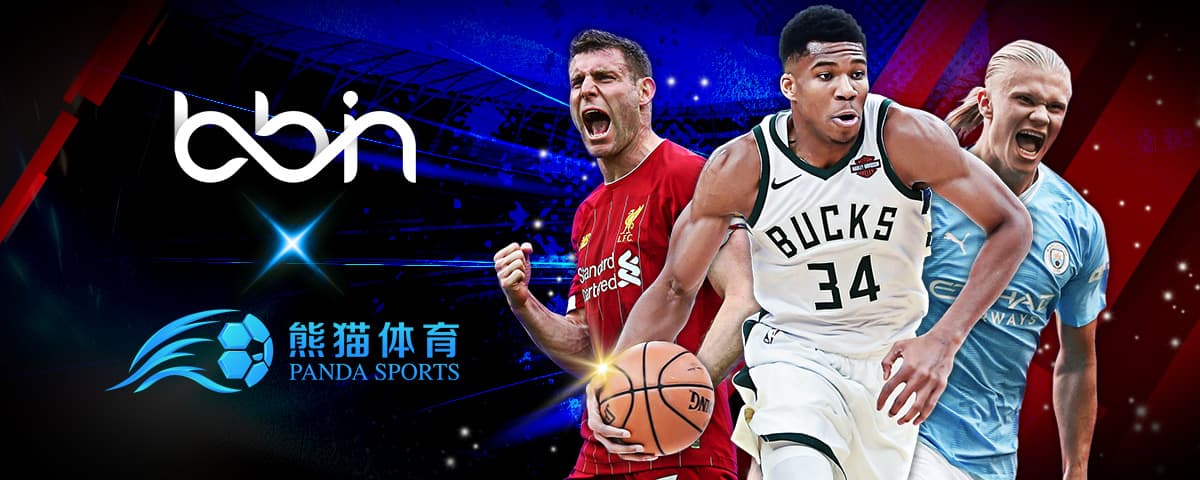 上了点球点